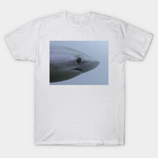 Shy Shark Meme T-Shirt